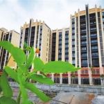 写字楼资讯｜最新干货分享！多个核心数据披露，海口楼宇投资必看！