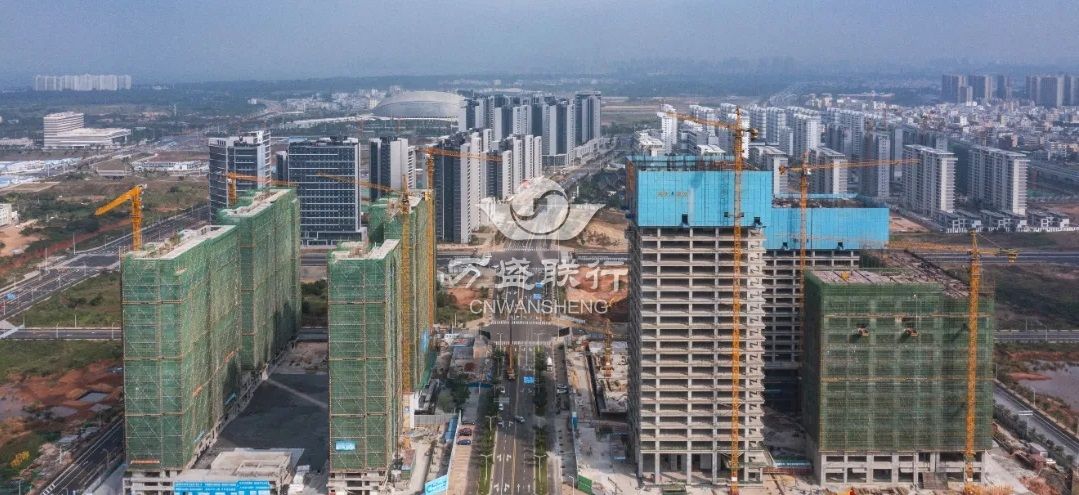 1638239799164339.jpg 640.webp.jpg